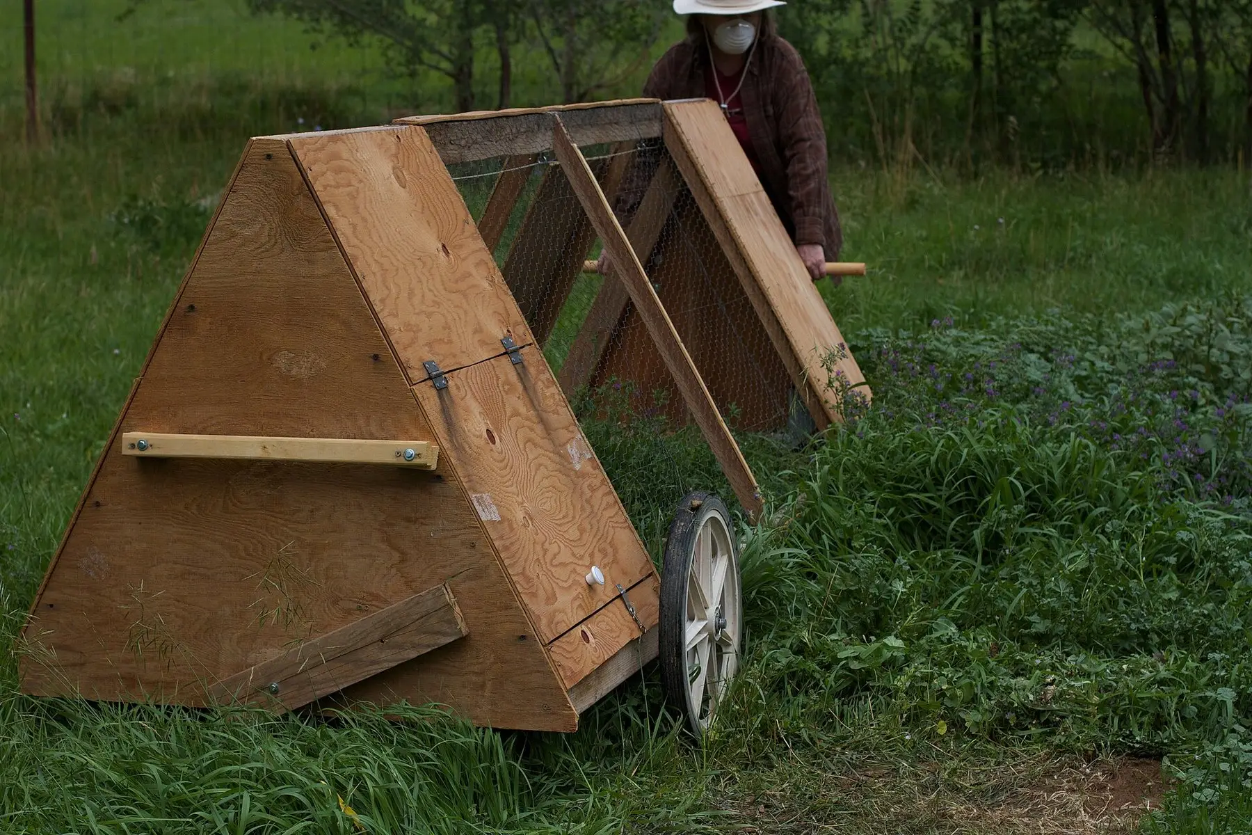 A wooden A-frame chicken tractor fitted with a wheel for moving it across pasture