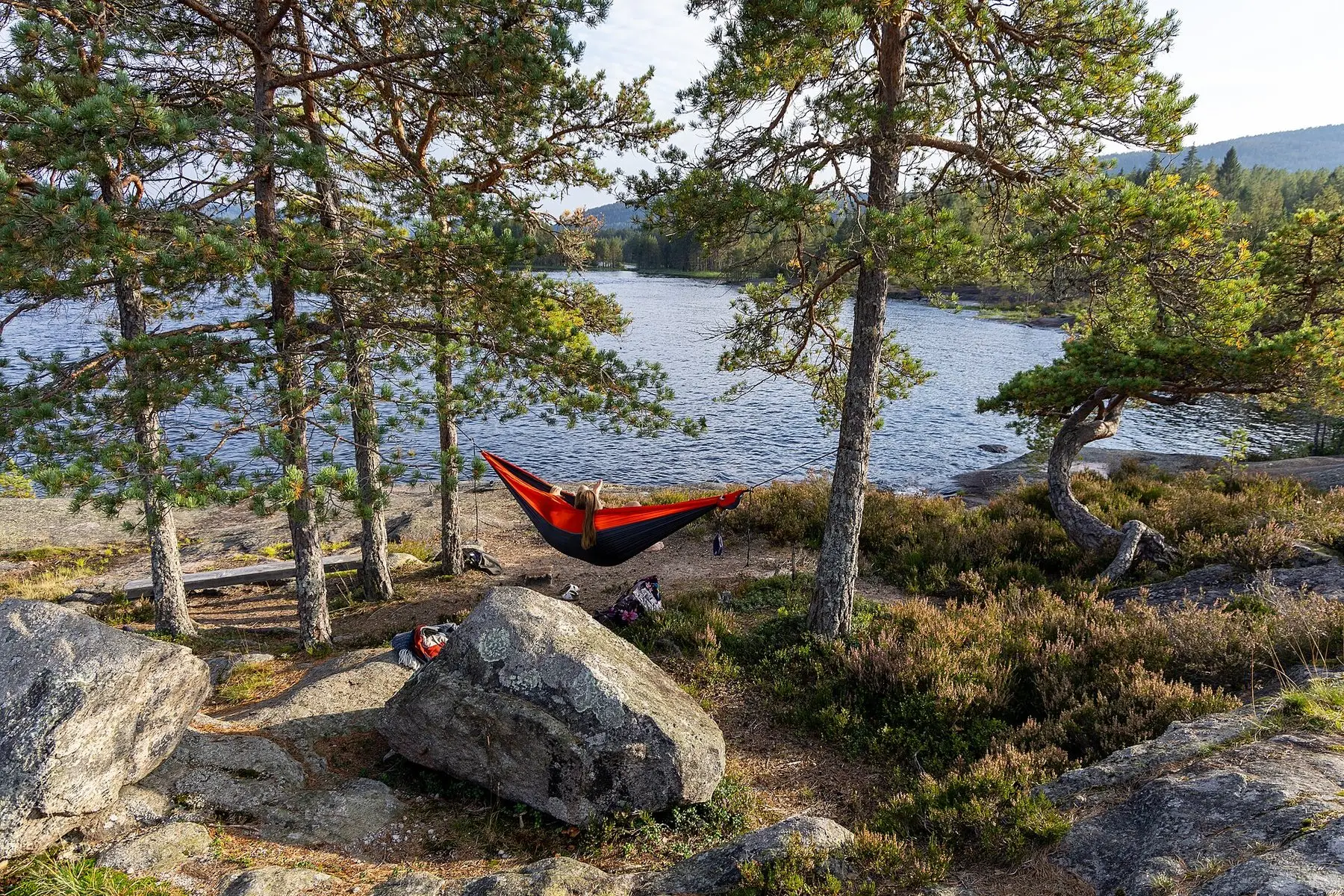 A hammock slung between pine trees beside a lake — the alternative a stand replaces
