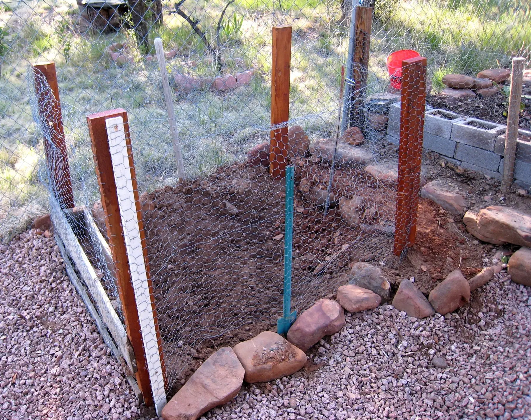 A vegetable bed enclosed with wire fencing and posts to keep chickens off it