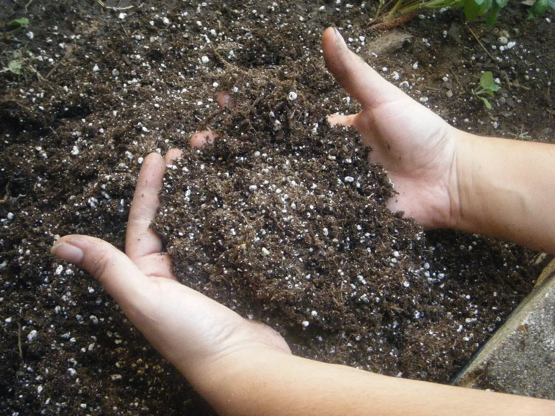 Two hands lifting dark crumbly soil from a bed