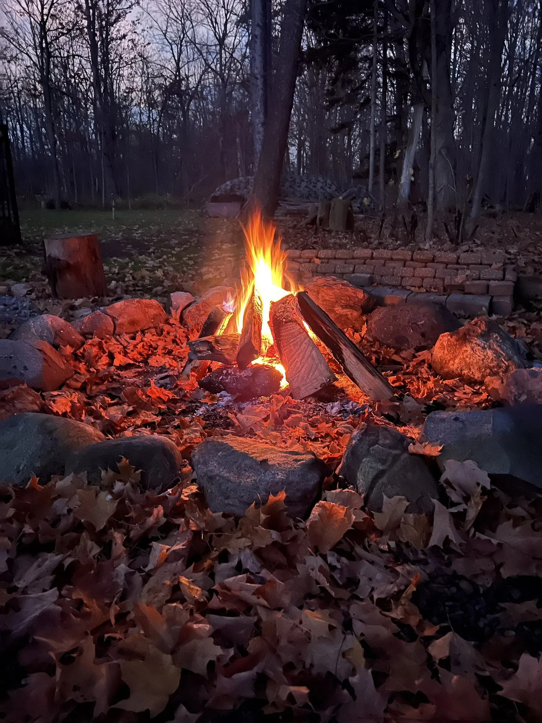 Logs burning down to embers in a fire pit after dark