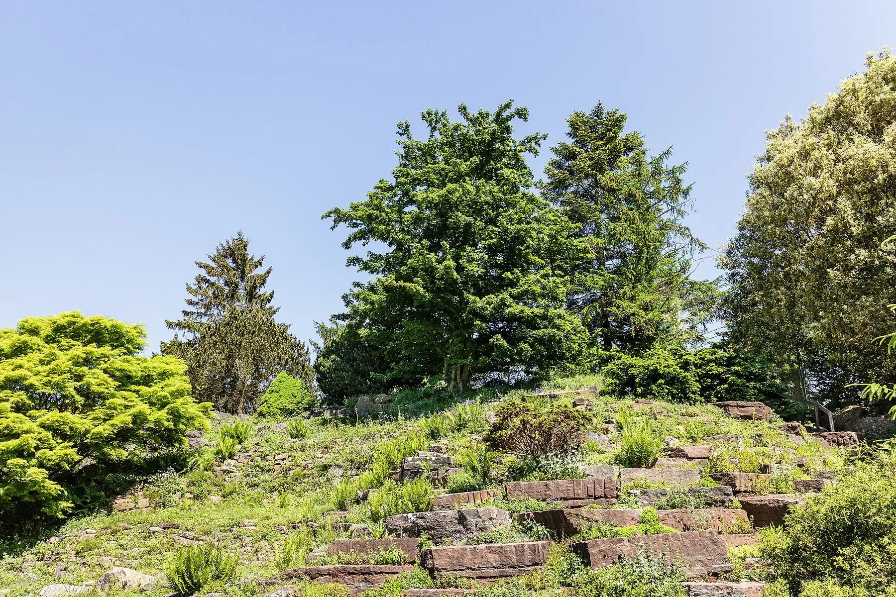 A planted rockery slope with layers of stone bedded in at a consistent angle