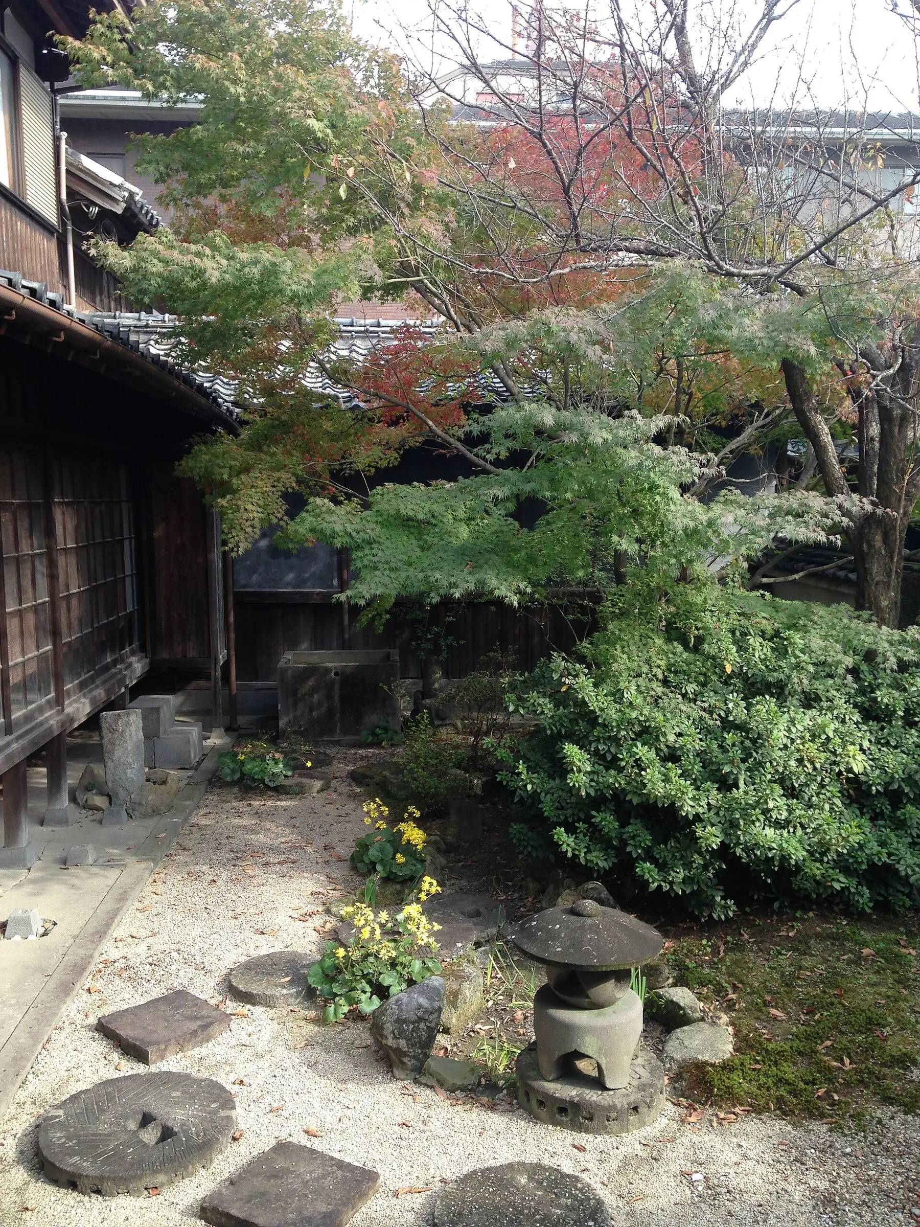 A small enclosed courtyard garden with stepping stones and clipped planting
