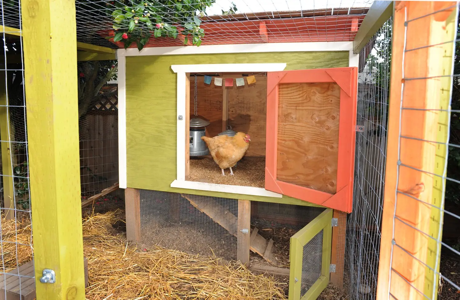 A brightly painted backyard chicken coop with an enclosed wire run and a hen inside