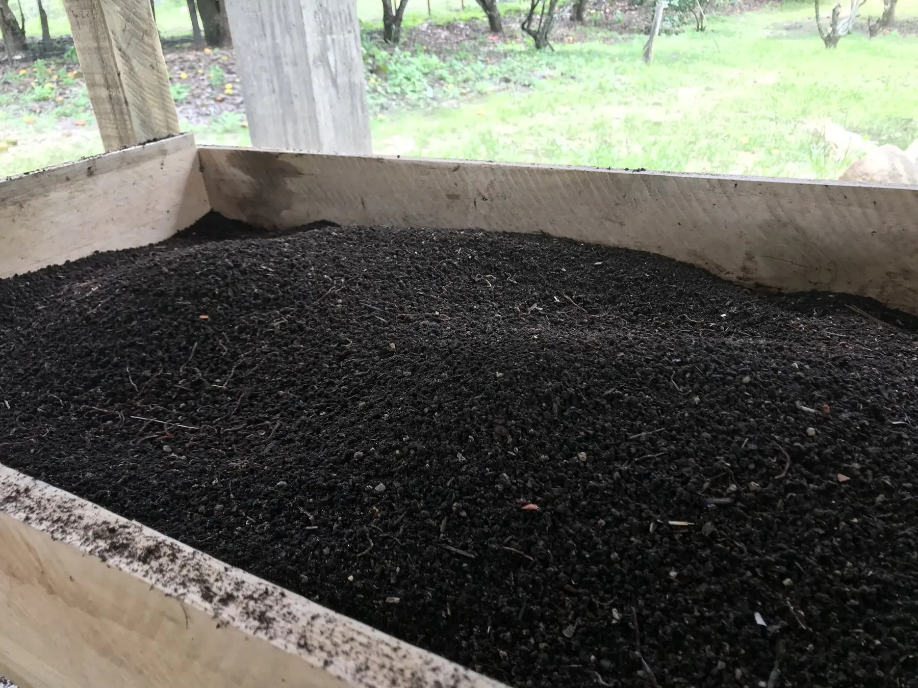 A wooden bin filled with dark, fine, sifted worm castings
