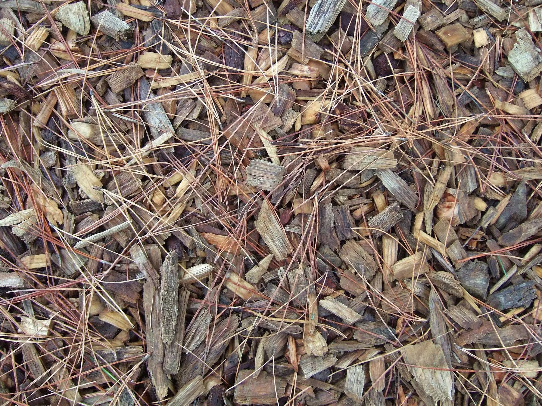 Wood chip mulch spread across a garden bed